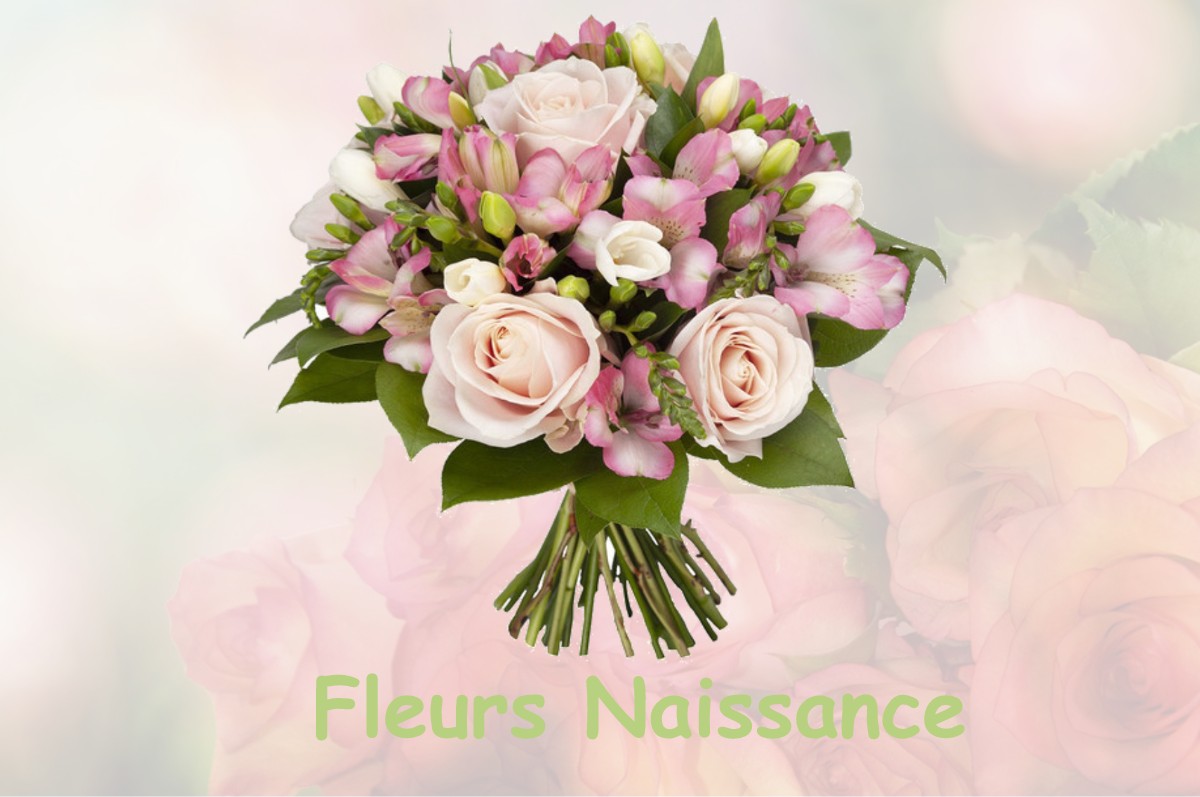 fleurs naissance CAMBRONNE-LES-RIBECOURT