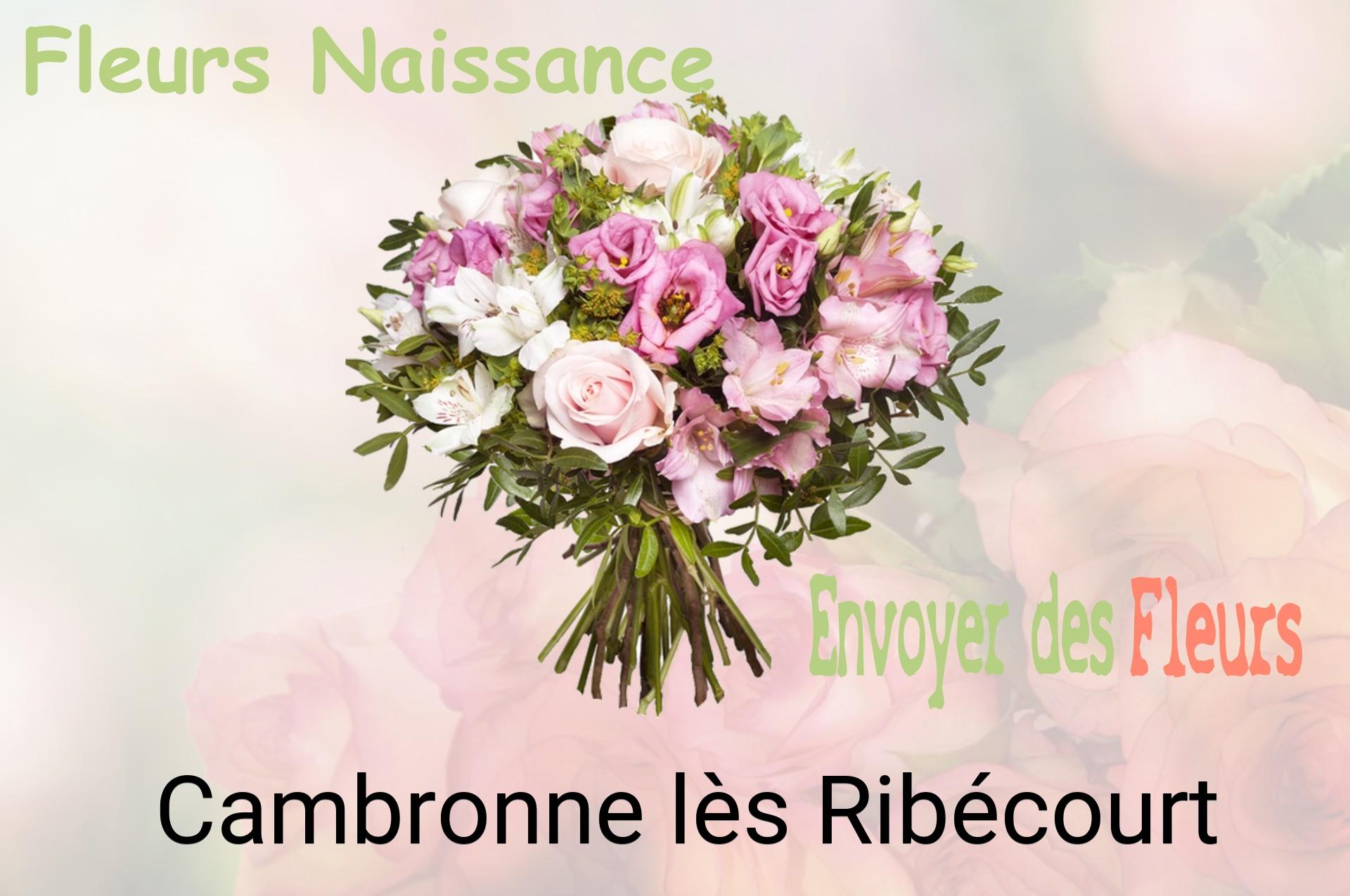 Bouquet de fleurs de naissance livré à Cambronne-lès-Ribécourt