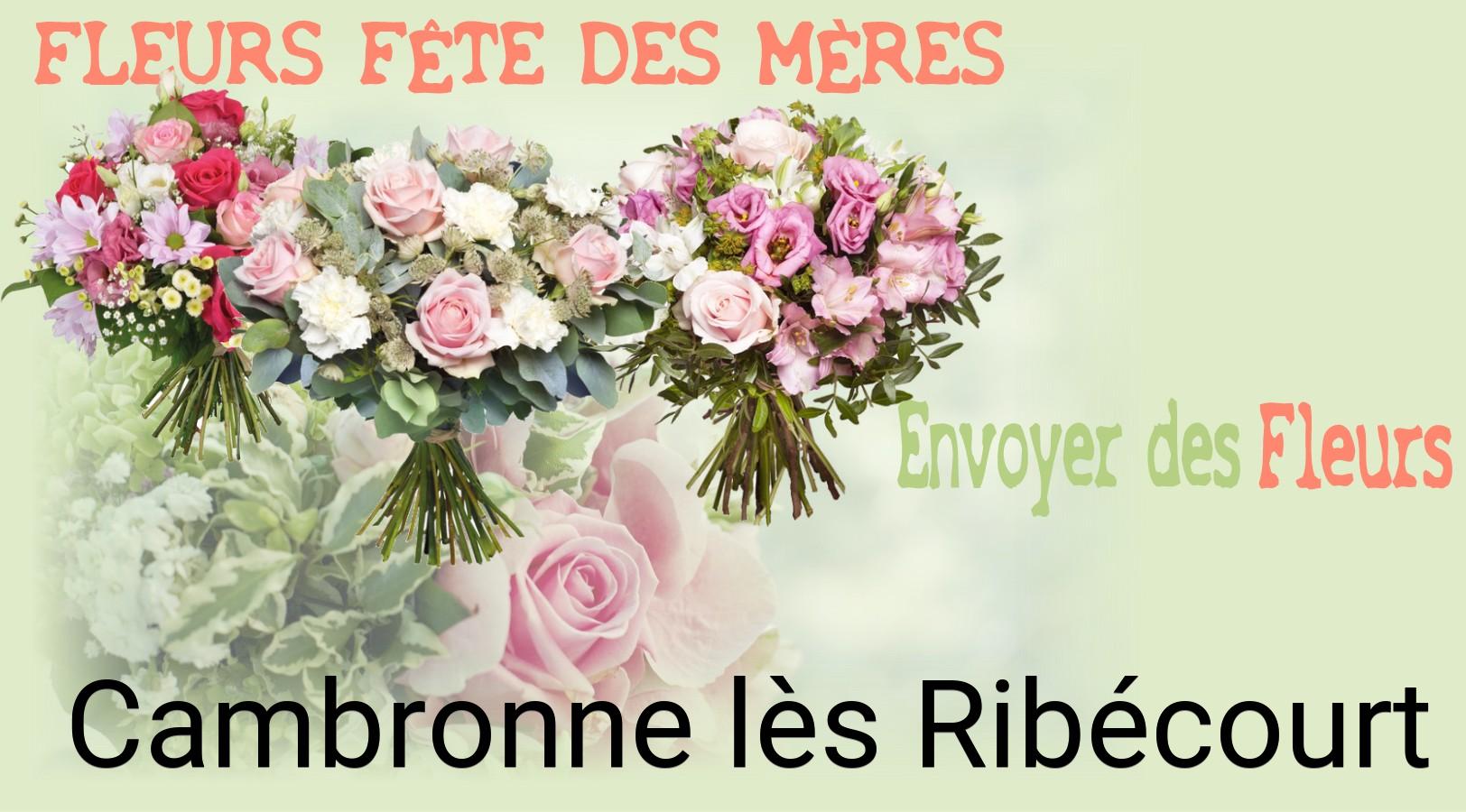 Bouquet de Fête des Mères livré à Cambronne-lès-Ribécourt