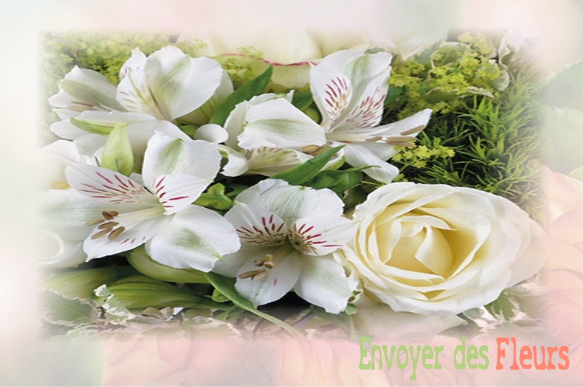 envoyer des fleurs à à CAMBRONNE-LES-RIBECOURT